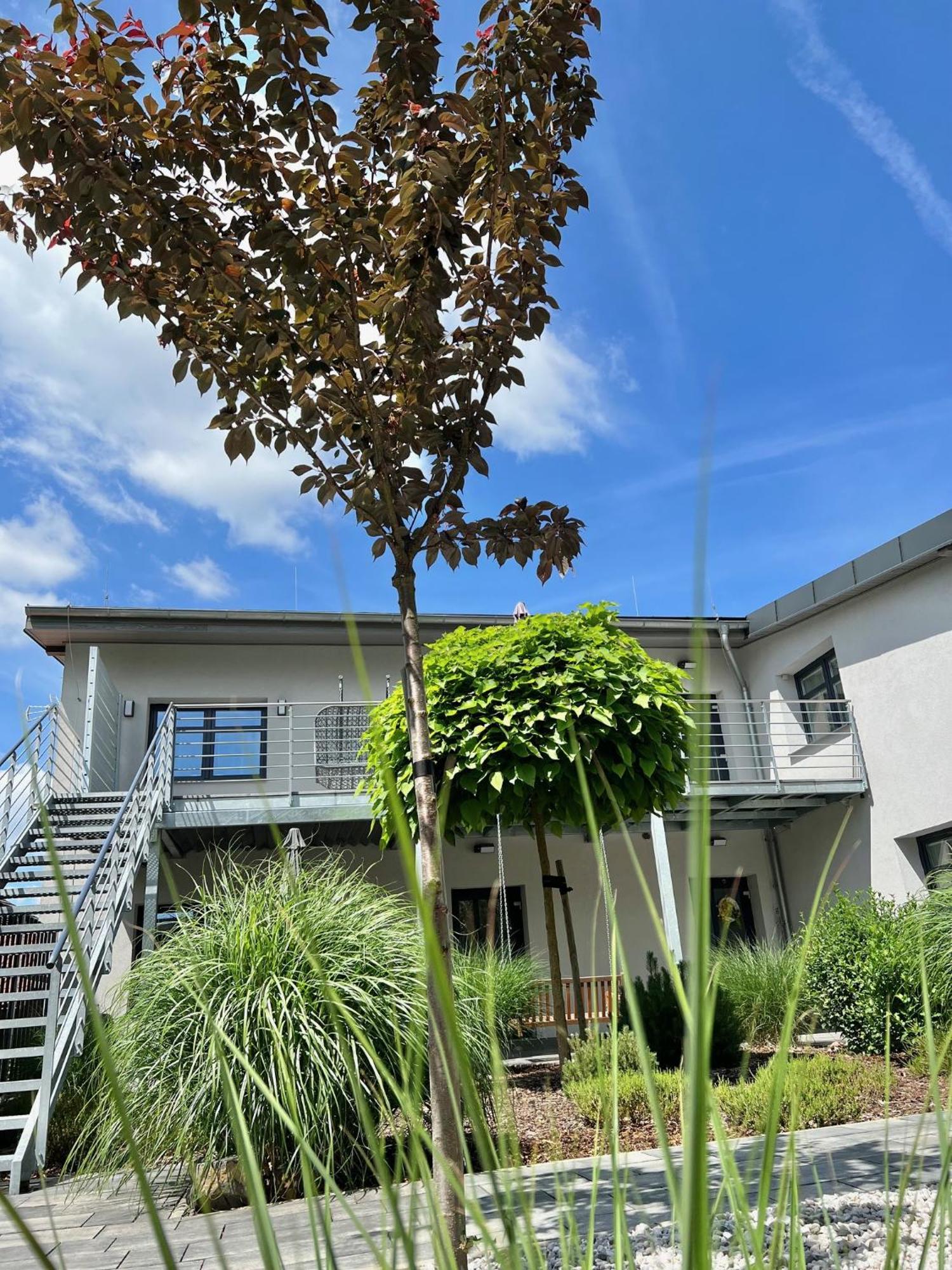Apartmany Benesov Benesov nad Ploucnici Exterior photo